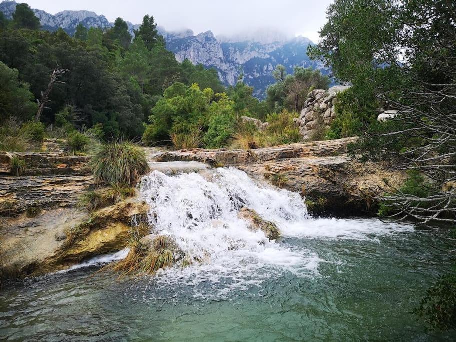 Апартаменты Ca La Cabrera Alfara de Carles Экстерьер фото