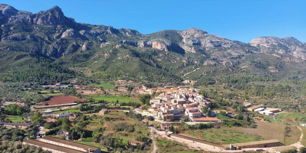 Апартаменты Ca La Cabrera Alfara de Carles Экстерьер фото
